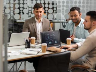 IT Consulting